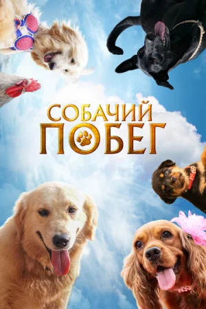 Собачий побег  онлайн