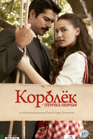 Королёк – птичка певчая 1 сезон онлайн